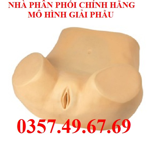 Mô hình mô phỏng khám phụ khoa GD/F30P Mô hình mô phỏng khám phụ khoa GD/F30P