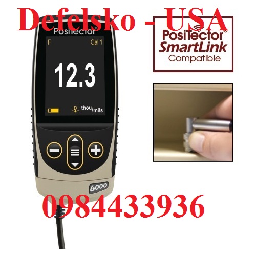 Máy đo độ dày lớp phủ PosiTector 6000 FTRS3